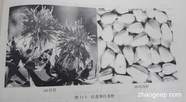 兆格環(huán)保液壓榨油機(jī)制取紅花籽油工藝