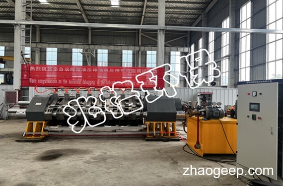 全自動(dòng)液壓榨油機(jī)壓榨可可脂視頻