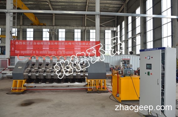 全自動(dòng)液壓榨油機(jī)宣傳視頻