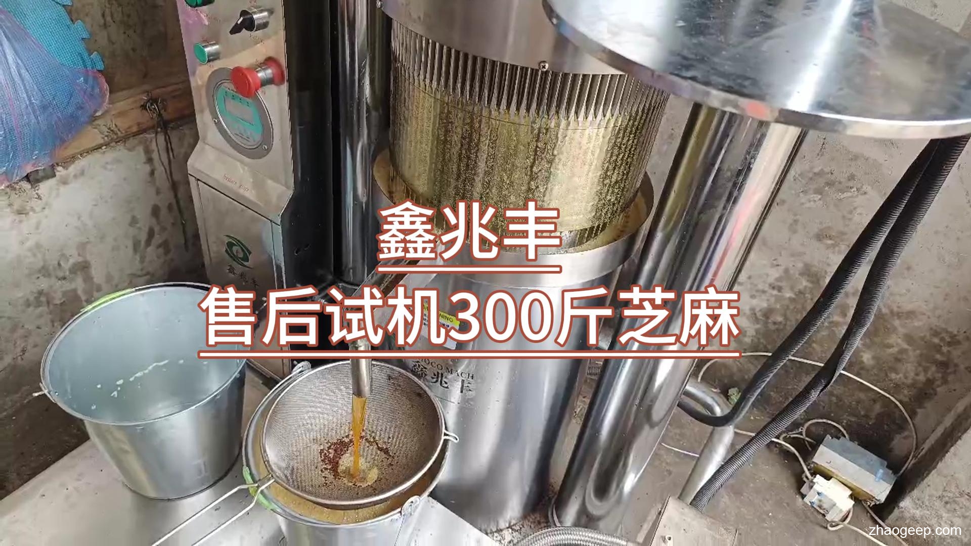 兆格環(huán)保_鑫兆豐全自動液壓榨油機_廠家售后走訪江西