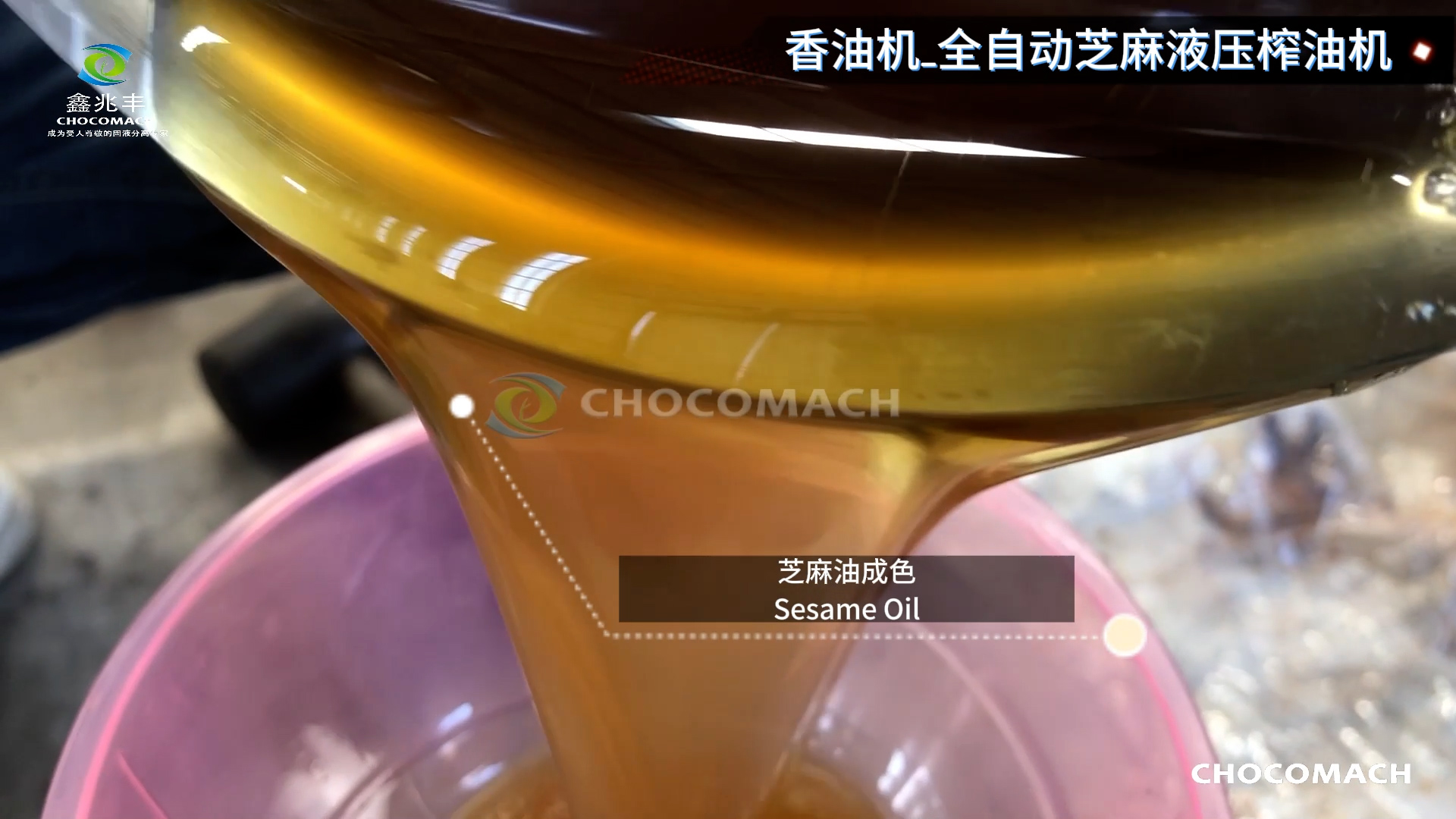 兆格環(huán)保YZYW全自動芝麻液壓香油機壓榨芝麻油