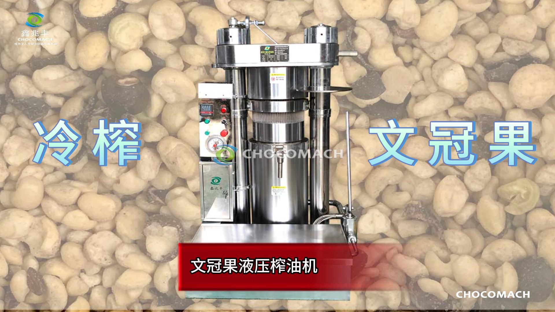 文冠果榨油機(jī)